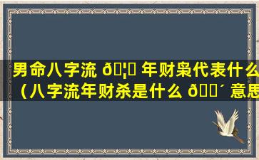 男命八字流 🦆 年财枭代表什么（八字流年财杀是什么 🐴 意思）